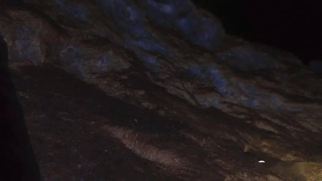 小鹏公关总监转岗,此前怼媒体看不懂财报
