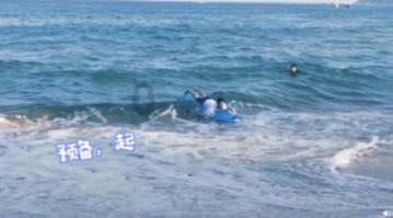 可爱小猫向上跳