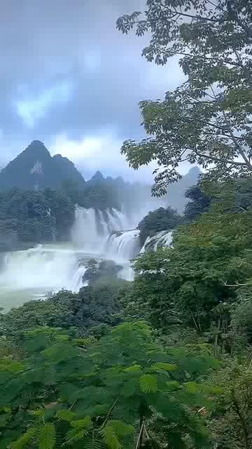救援音乐系学生